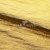 Текстильный материал "Диско"#1805 с покрытием РЕТ, 40гр/м2, 100% полиэстер, цв.5-золото - купить в Южно-Сахалинске. Цена 416.57 руб.