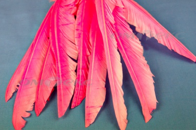 Декоративный Пучок из перьев, перо 25см/розовый - купить в Южно-Сахалинске. Цена: 14.40 руб.