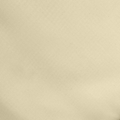 Ткань подкладочная Таффета 14-1014, антист., 53 гр/м2, шир.150см, цвет бежевый - купить в Южно-Сахалинске. Цена 62.37 руб.