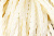 Тесьма декоративная "Шнур-косичка" - купить в Южно-Сахалинске. Цена: 2.31 руб.