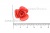 Украшение "Розы малые №1" 20мм - купить в Южно-Сахалинске. Цена: 32.49 руб.