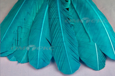 Декоративный Пучок из перьев, перо 24см/голубой - купить в Южно-Сахалинске. Цена: 12.19 руб.