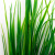 Трава искусственная -2, шт (осока 41см/8 см)				 - купить в Южно-Сахалинске. Цена: 104.57 руб.