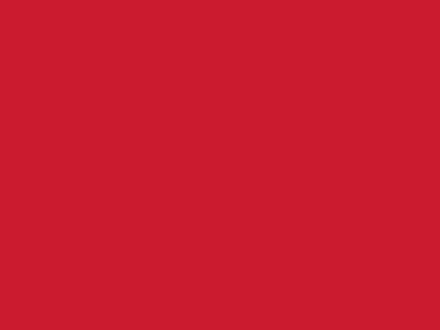 Сетка подкладочная красный, 60г/м2 (10 м/кг) - купить в Южно-Сахалинске. Цена 885.73 руб.