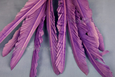 Декоративный Пучок из перьев, перо 25см/фиолетовый - купить в Южно-Сахалинске. Цена: 12.19 руб.