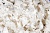Тесьма плетеная "Рюш" с жемугом №2 (уп.13 м), цв.-молочный  - купить в Южно-Сахалинске. Цена: 46.82 руб.