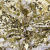 Трикотажное полотно, Сетка с пайетками, шир.130 см, #315, цв.-белый/золото - купить в Южно-Сахалинске. Цена 693.39 руб.