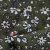Плательная ткань "Фламенко" 11.2, 80 гр/м2, шир.150 см, принт растительный - купить в Южно-Сахалинске. Цена 259.21 руб.