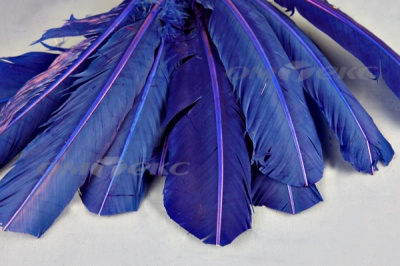 Декоративный Пучок из перьев, перо 23см/синий - купить в Южно-Сахалинске. Цена: 12.34 руб.