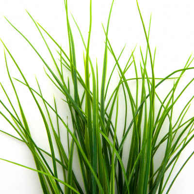 Трава искусственная -3, шт (осока 50 см/8 см  5 листов)				 - купить в Южно-Сахалинске. Цена: 124.17 руб.
